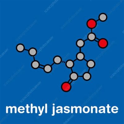  Jasmonat –  Ein faszinierendes Botenmolekül für die Pflanzenwelt und mehr!