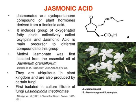 Jasmonat: Das Geheimnisvolle Pflanzenhormon für die Aromenindustrie und Biotechnologie!