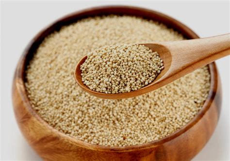  Quinoa Protein: Ein nachhaltiges Wundermittel für Biomedizinische Implantate?