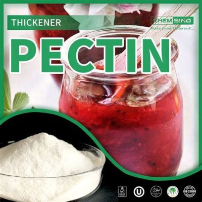  Pectin – Eine Vielseitige Substanz für innovative Lebensmittelformulierungen und Biomaterialien!